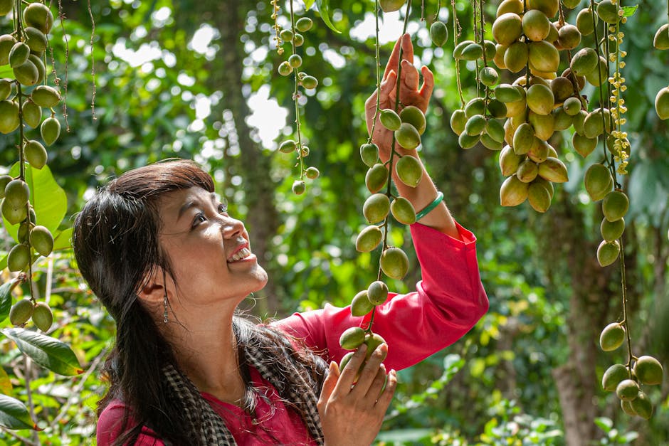 Smiling woman picking ripe tropical fruits in a lush green forest environment.